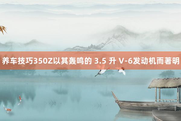 养车技巧350Z以其轰鸣的 3.5 升 V-6发动机而著明