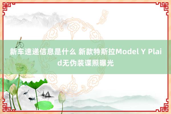 新车速递信息是什么 新款特斯拉Model Y Plaid无伪装谍照曝光