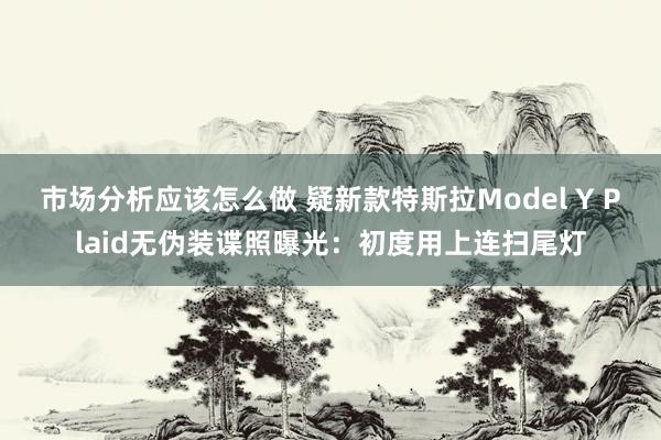 市场分析应该怎么做 疑新款特斯拉Model Y Plaid无伪装谍照曝光：初度用上连扫尾灯