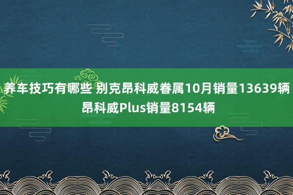 养车技巧有哪些 别克昂科威眷属10月销量13639辆 昂科威Plus销量8154辆