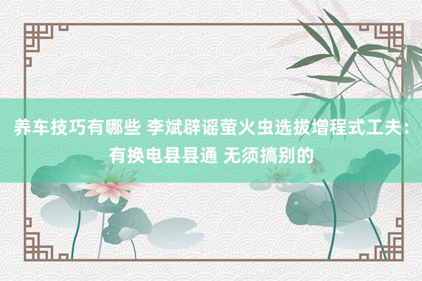 养车技巧有哪些 李斌辟谣萤火虫选拔增程式工夫：有换电县县通 无须搞别的