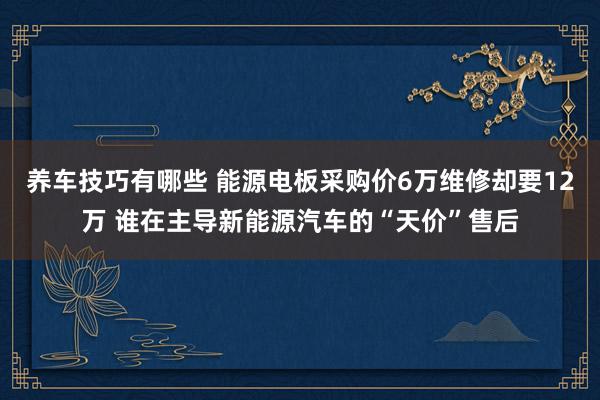 养车技巧有哪些 能源电板采购价6万维修却要12万 谁在主导新能源汽车的“天价”售后