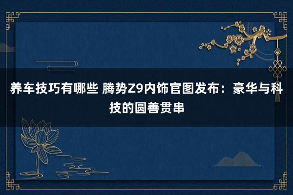 养车技巧有哪些 腾势Z9内饰官图发布：豪华与科技的圆善贯串