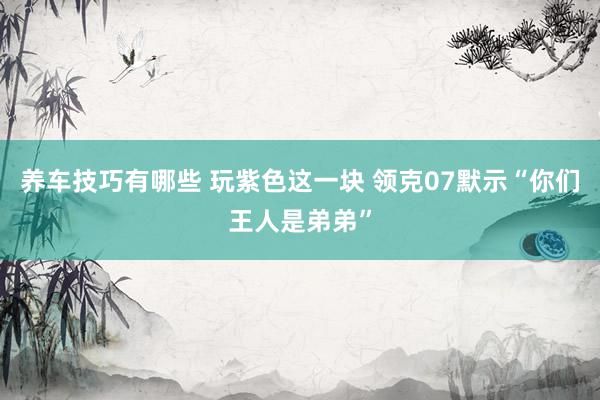 养车技巧有哪些 玩紫色这一块 领克07默示“你们王人是弟弟”