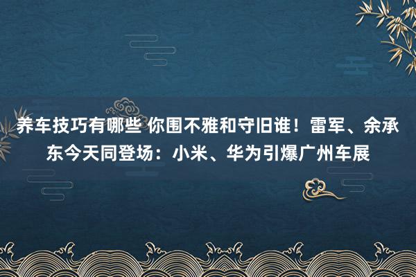 养车技巧有哪些 你围不雅和守旧谁！雷军、余承东今天同登场：小米、华为引爆广州车展