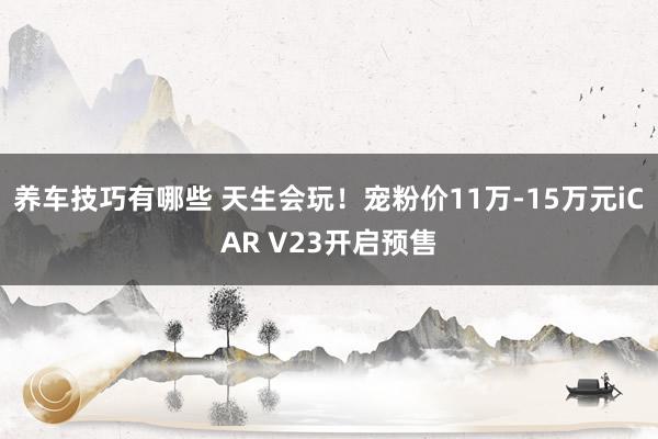 养车技巧有哪些 天生会玩！宠粉价11万-15万元iCAR V23开启预售