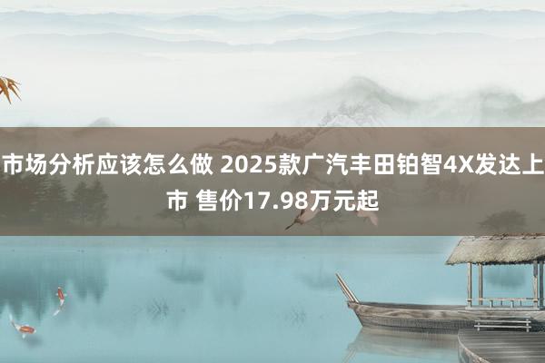 市场分析应该怎么做 2025款广汽丰田铂智4X发达上市 售价17.98万元起