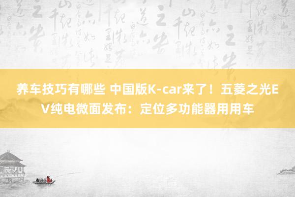 养车技巧有哪些 中国版K-car来了！五菱之光EV纯电微面发布：定位多功能器用用车