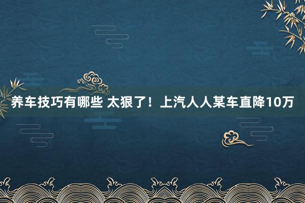 养车技巧有哪些 太狠了！上汽人人某车直降10万