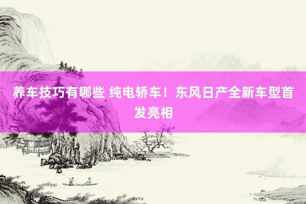 养车技巧有哪些 纯电轿车！东风日产全新车型首发亮相