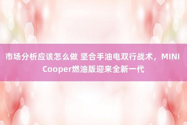 市场分析应该怎么做 坚合手油电双行战术，MINI Cooper燃油版迎来全新一代