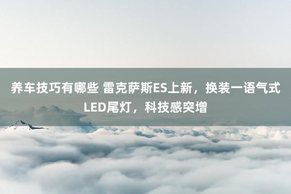 养车技巧有哪些 雷克萨斯ES上新，换装一语气式LED尾灯，科技感突增