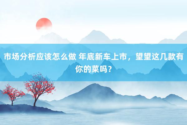 市场分析应该怎么做 年底新车上市，望望这几款有你的菜吗？