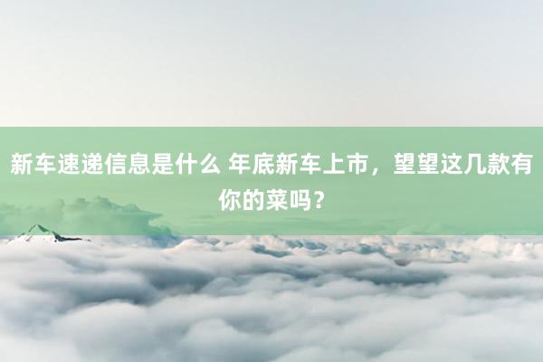 新车速递信息是什么 年底新车上市，望望这几款有你的菜吗？