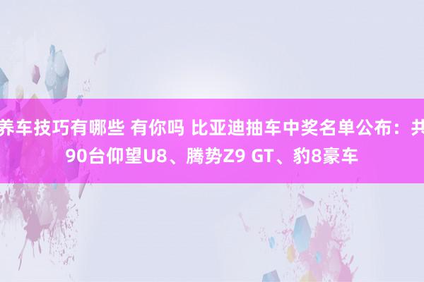 养车技巧有哪些 有你吗 比亚迪抽车中奖名单公布：共90台仰望U8、腾势Z9 GT、豹8豪车