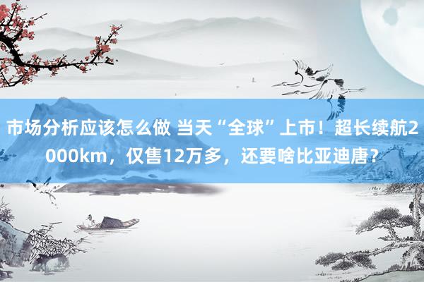 市场分析应该怎么做 当天“全球”上市！超长续航2000km，仅售12万多，还要啥比亚迪唐？