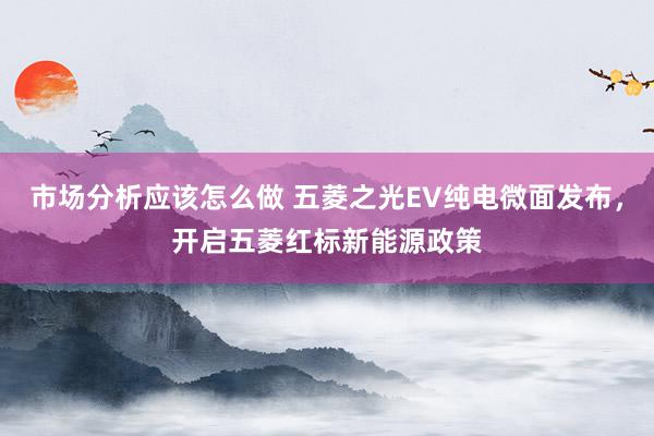 市场分析应该怎么做 五菱之光EV纯电微面发布，开启五菱红标新能源政策