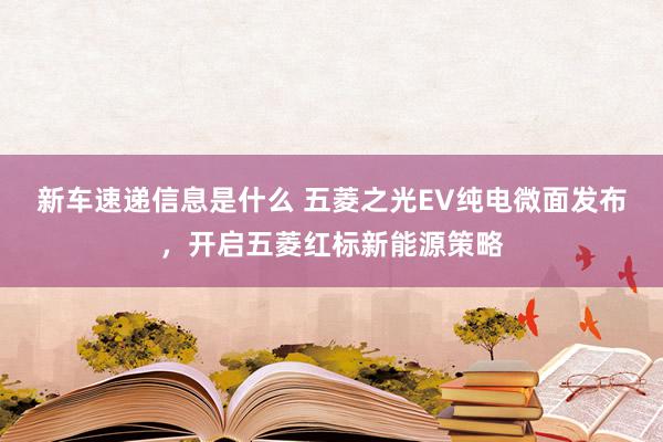 新车速递信息是什么 五菱之光EV纯电微面发布，开启五菱红标新能源策略