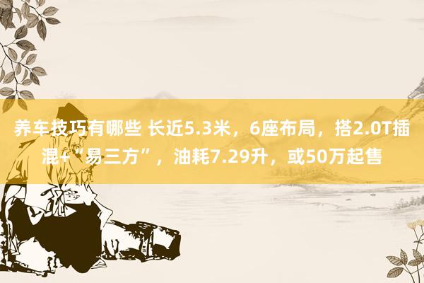 养车技巧有哪些 长近5.3米，6座布局，搭2.0T插混+“易三方”，油耗7.29升，或50万起售