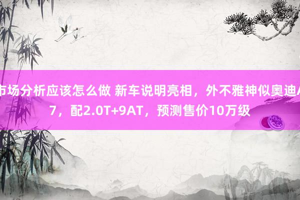 市场分析应该怎么做 新车说明亮相，外不雅神似奥迪A7，配2.0T+9AT，预测售价10万级