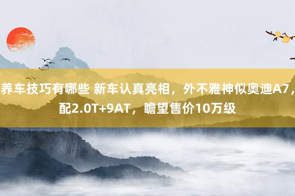 养车技巧有哪些 新车认真亮相，外不雅神似奥迪A7，配2.0T+9AT，瞻望售价10万级