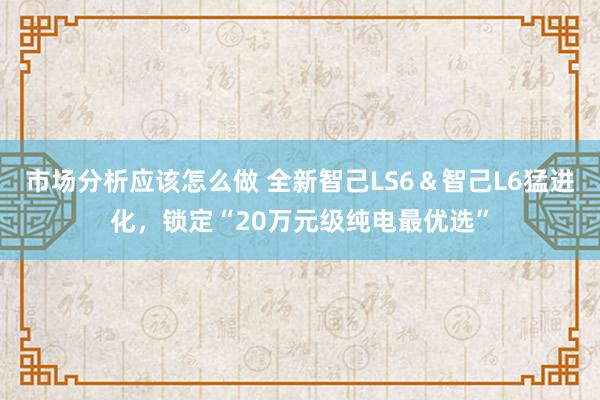 市场分析应该怎么做 全新智己LS6＆智己L6猛进化，锁定“20万元级纯电最优选”