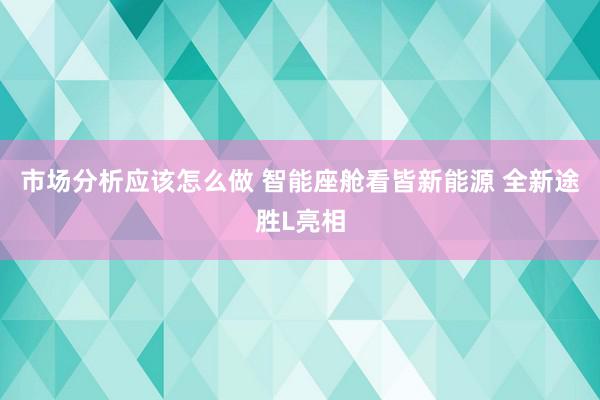 市场分析应该怎么做 智能座舱看皆新能源 全新途胜L亮相