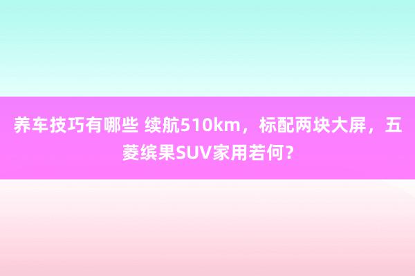 养车技巧有哪些 续航510km，标配两块大屏，五菱缤果SUV家用若何？