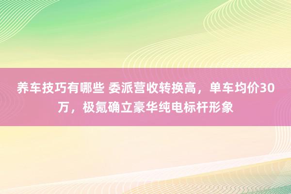 养车技巧有哪些 委派营收转换高，单车均价30万，极氪确立豪华纯电标杆形象