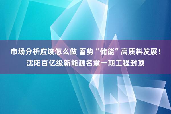 市场分析应该怎么做 蓄势“储能”高质料发展！沈阳百亿级新能源名堂一期工程封顶