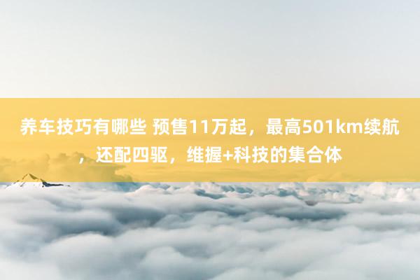 养车技巧有哪些 预售11万起，最高501km续航，还配四驱，维握+科技的集合体