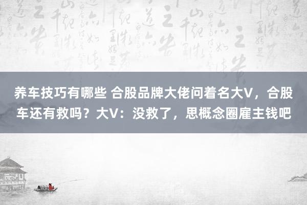 养车技巧有哪些 合股品牌大佬问着名大V，合股车还有救吗？大V：没救了，思概念圈雇主钱吧