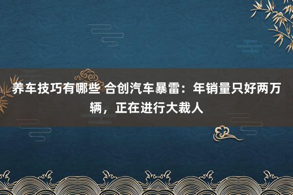 养车技巧有哪些 合创汽车暴雷：年销量只好两万辆，正在进行大裁人