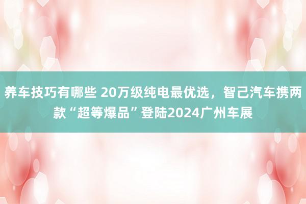 养车技巧有哪些 20万级纯电最优选，智己汽车携两款“超等爆品”登陆2024广州车展