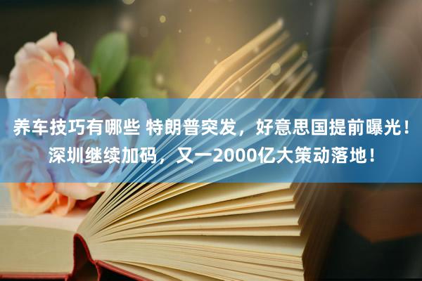 养车技巧有哪些 特朗普突发，好意思国提前曝光！深圳继续加码，又一2000亿大策动落地！