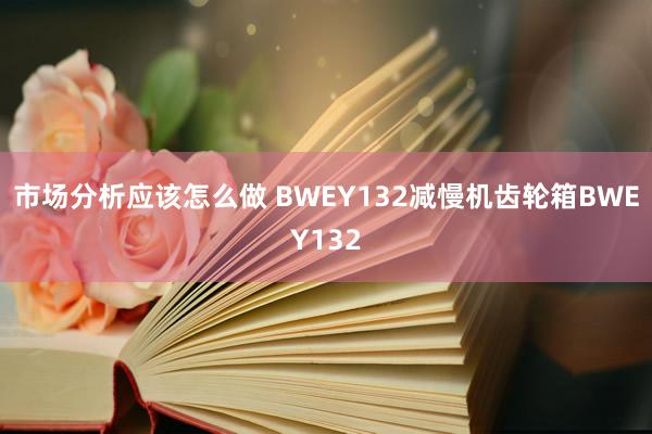 市场分析应该怎么做 BWEY132减慢机齿轮箱BWEY132