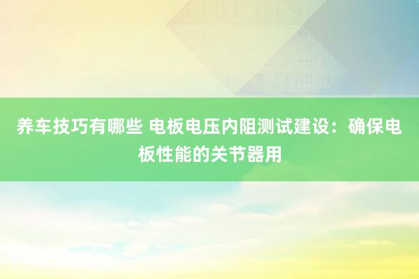 养车技巧有哪些 电板电压内阻测试建设：确保电板性能的关节器用