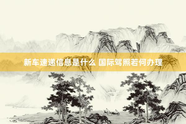 新车速递信息是什么 国际驾照若何办理