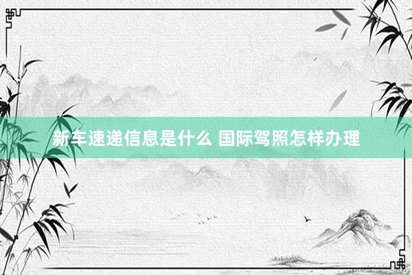 新车速递信息是什么 国际驾照怎样办理