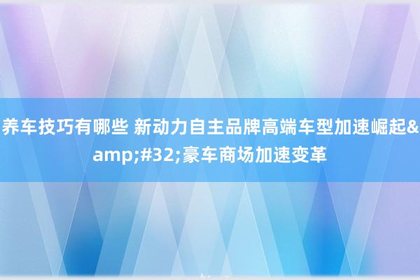 养车技巧有哪些 新动力自主品牌高端车型加速崛起&#32;豪车商场加速变革