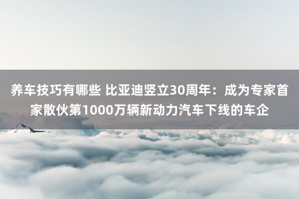 养车技巧有哪些 比亚迪竖立30周年：成为专家首家散伙第1000万辆新动力汽车下线的车企