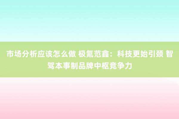 市场分析应该怎么做 极氪范鑫：科技更始引颈 智驾本事制品牌中枢竞争力