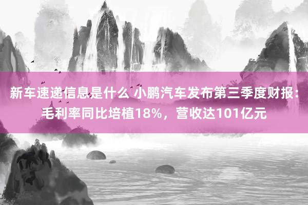 新车速递信息是什么 小鹏汽车发布第三季度财报：毛利率同比培植18%，营收达101亿元