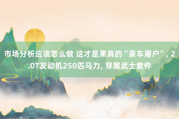 市场分析应该怎么做 这才是果真的“豪车屠户”, 2.0T发动机250匹马力, 穿黑武士套件