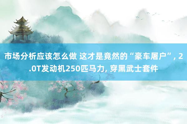 市场分析应该怎么做 这才是竟然的“豪车屠户”, 2.0T发动机250匹马力, 穿黑武士套件