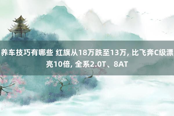 养车技巧有哪些 红旗从18万跌至13万, 比飞奔C级漂亮10倍, 全系2.0T、8AT