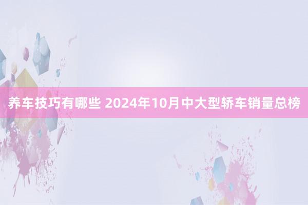 养车技巧有哪些 2024年10月中大型轿车销量总榜