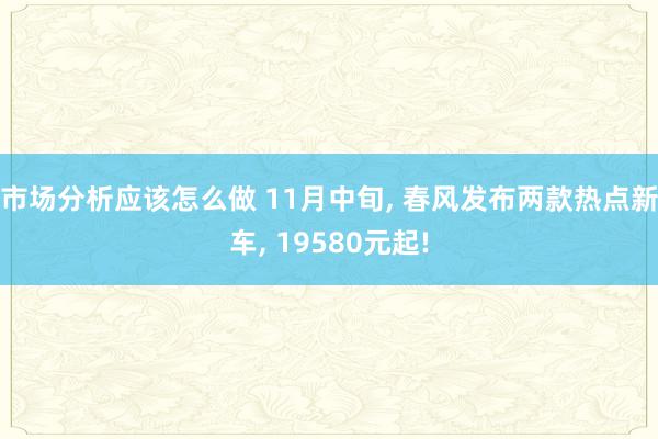 市场分析应该怎么做 11月中旬, 春风发布两款热点新车, 19580元起!