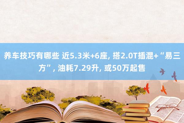 养车技巧有哪些 近5.3米+6座, 搭2.0T插混+“易三方”, 油耗7.29升, 或50万起售