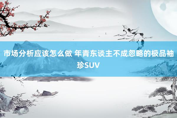 市场分析应该怎么做 年青东谈主不成忽略的极品袖珍SUV